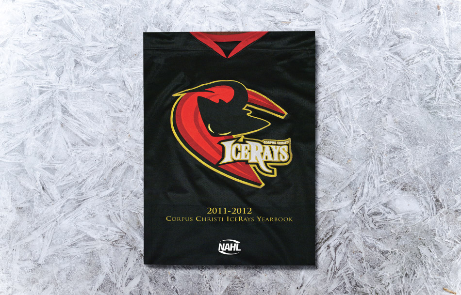 IceRay Program Guide Cover